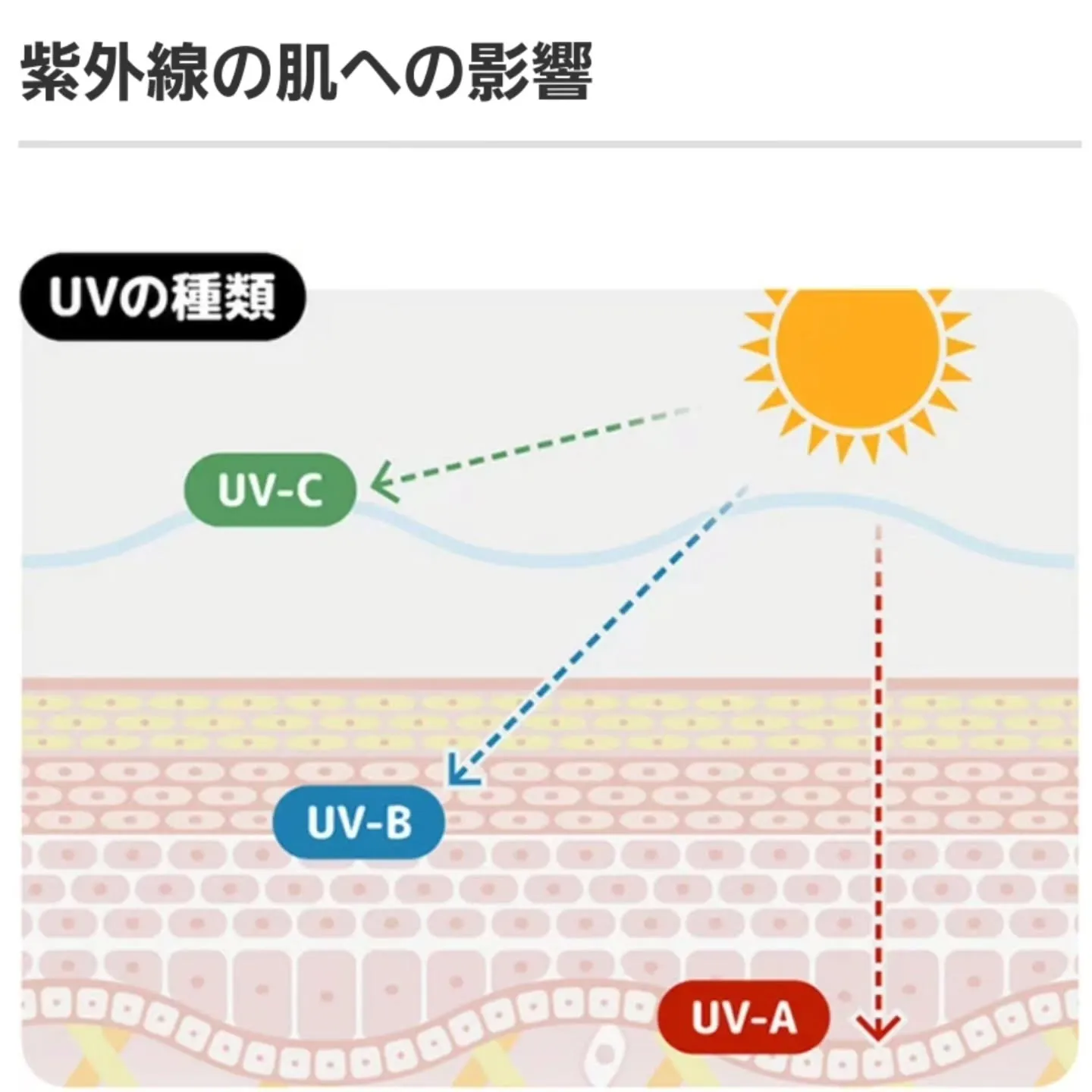 皆さんこんにちは🌞